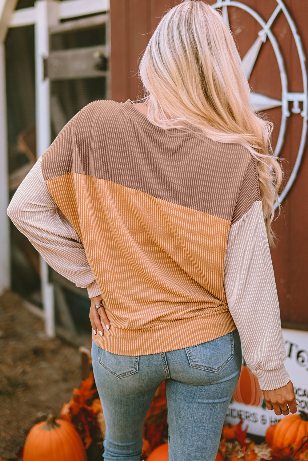 Color Block Long Sleeve Ribbed Loose Top