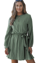 Button Neck Puff Sleeve Belted Pleated Mini Dress